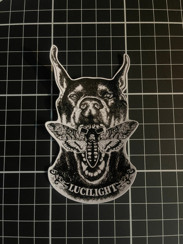 Doberman X Moth
