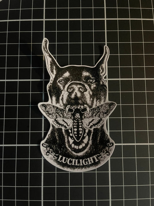Doberman X Moth