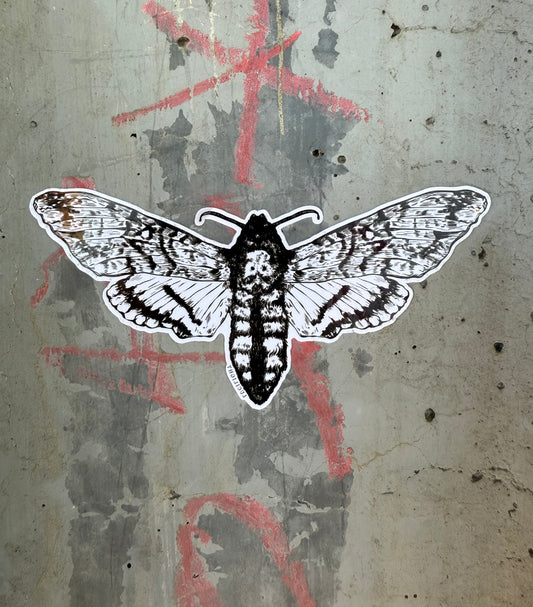 Moth